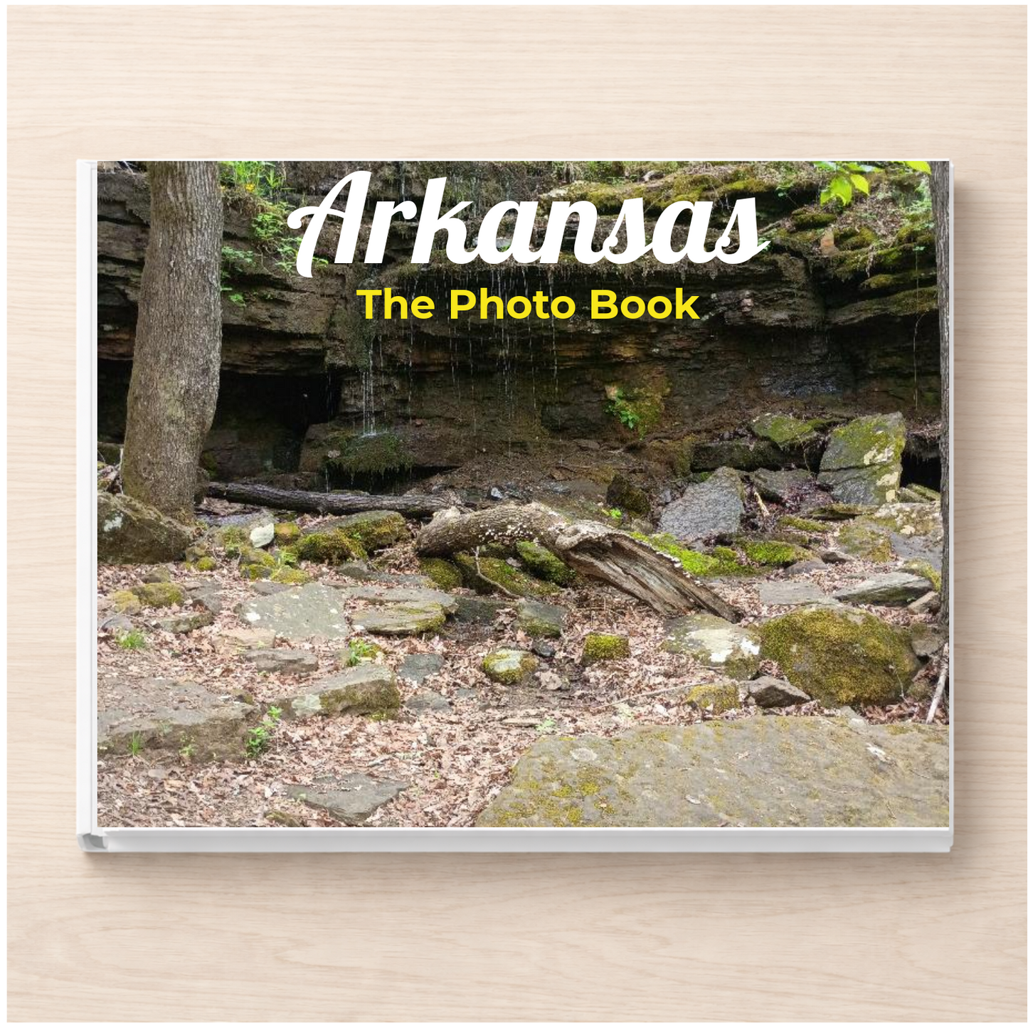 Arkansas: The Photo Book