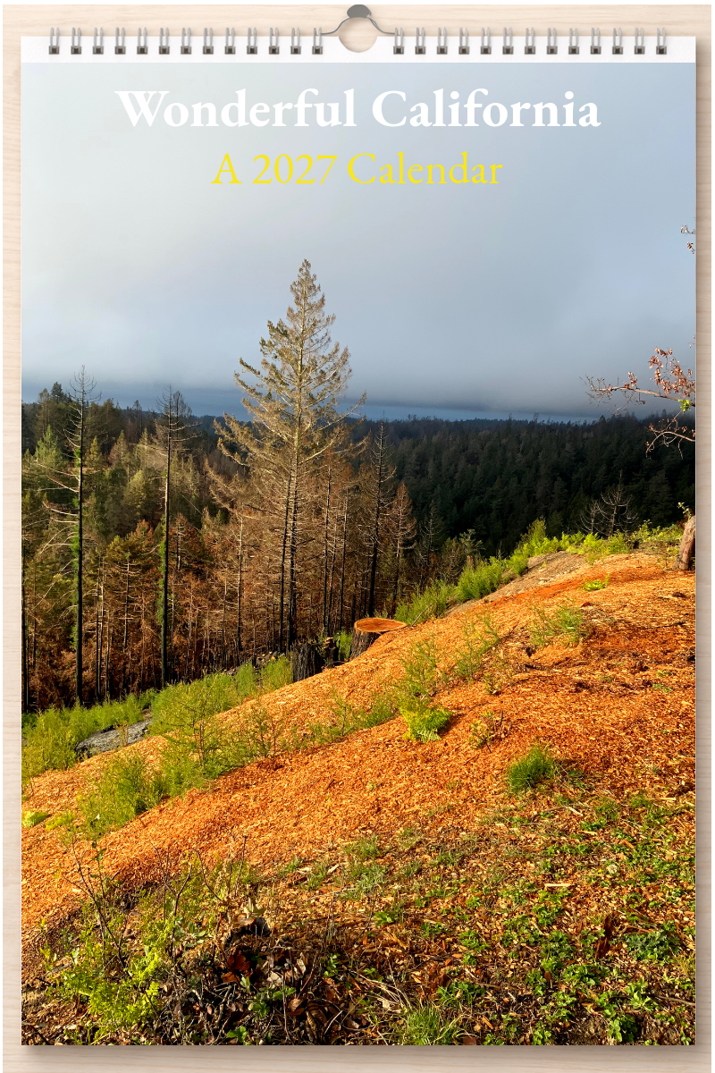 Wonderful California: A 2027 Calendar
