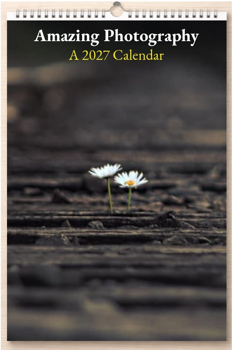 Amazing Photography: A 2027 Calendar