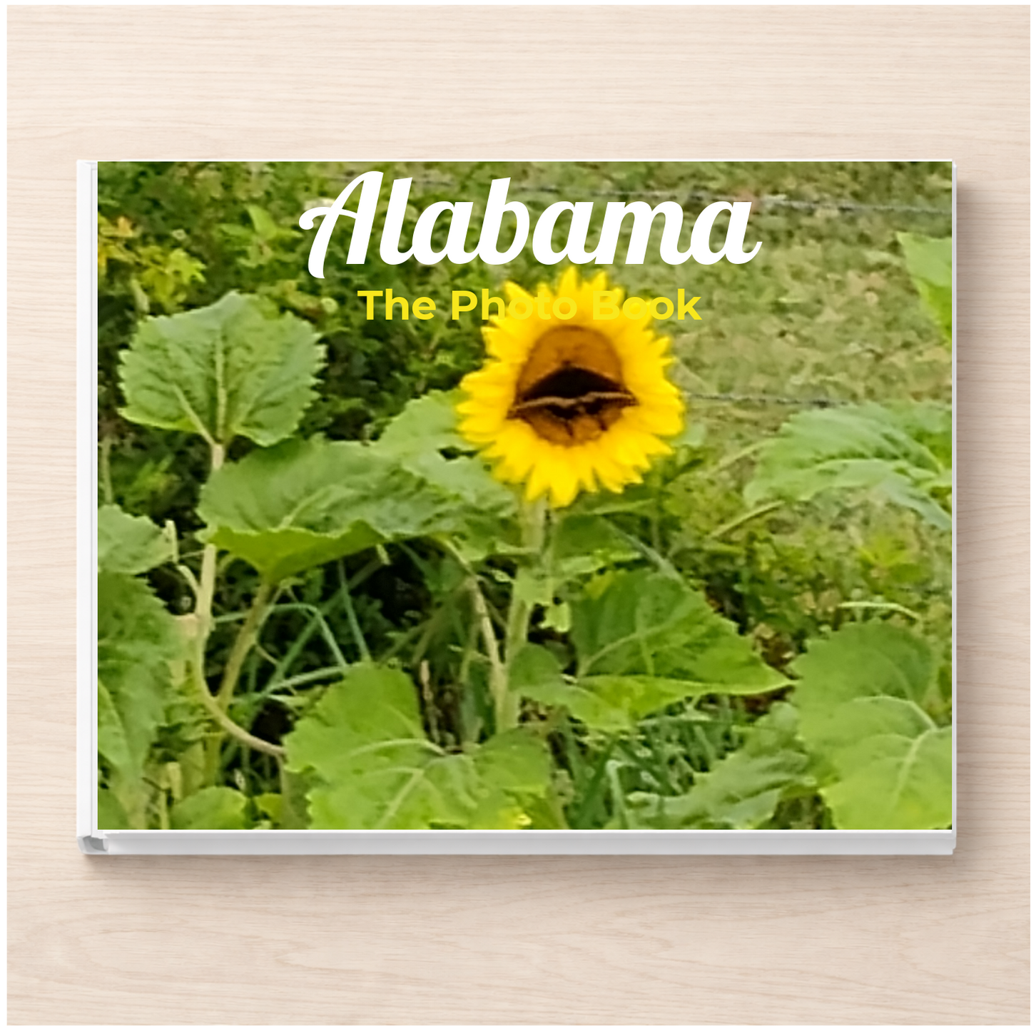 Alabama: The Photo Book