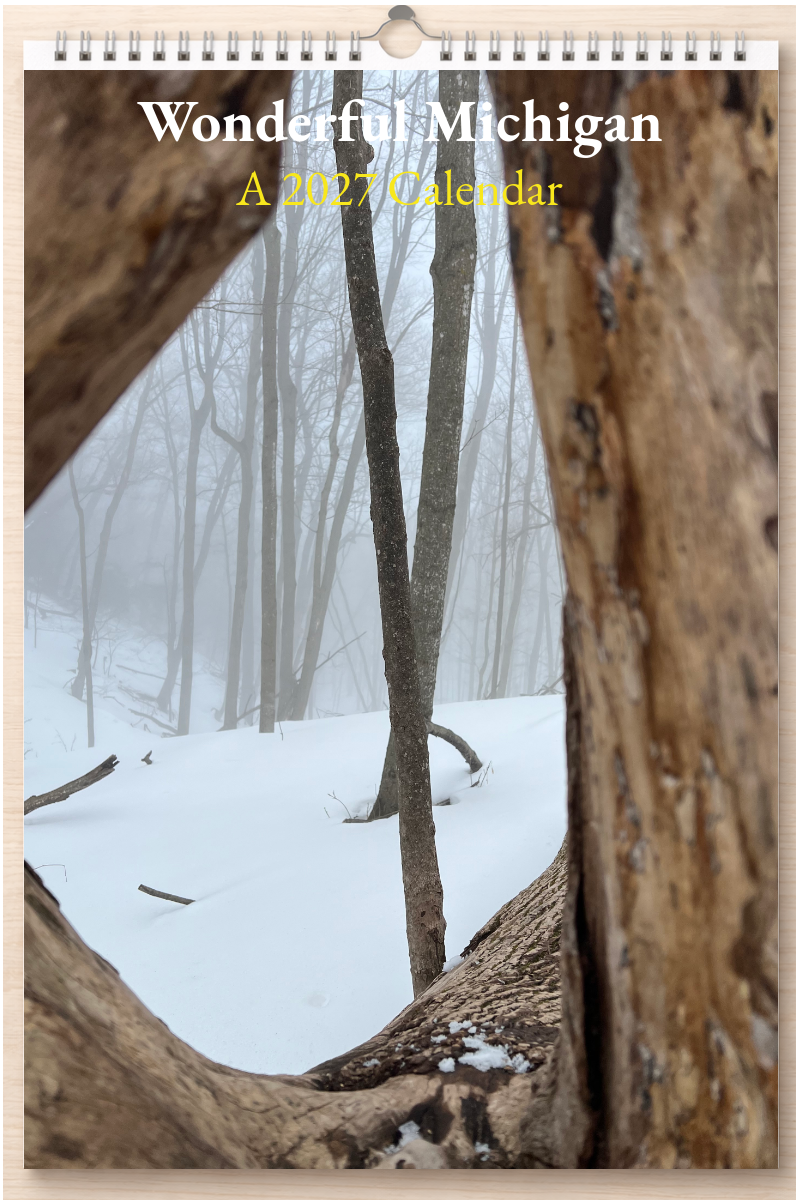 Wonderful Michigan: A 2027 Calendar