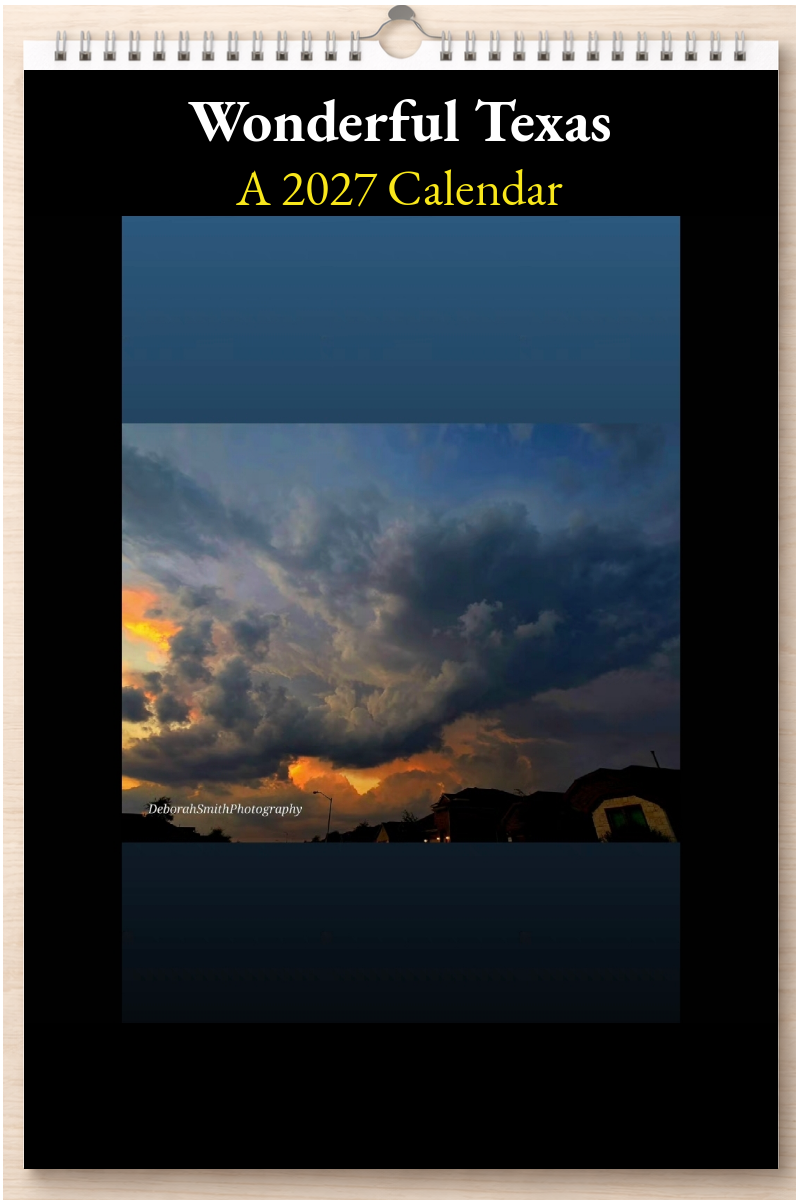 Wonderful Texas: A 2027 Calendar