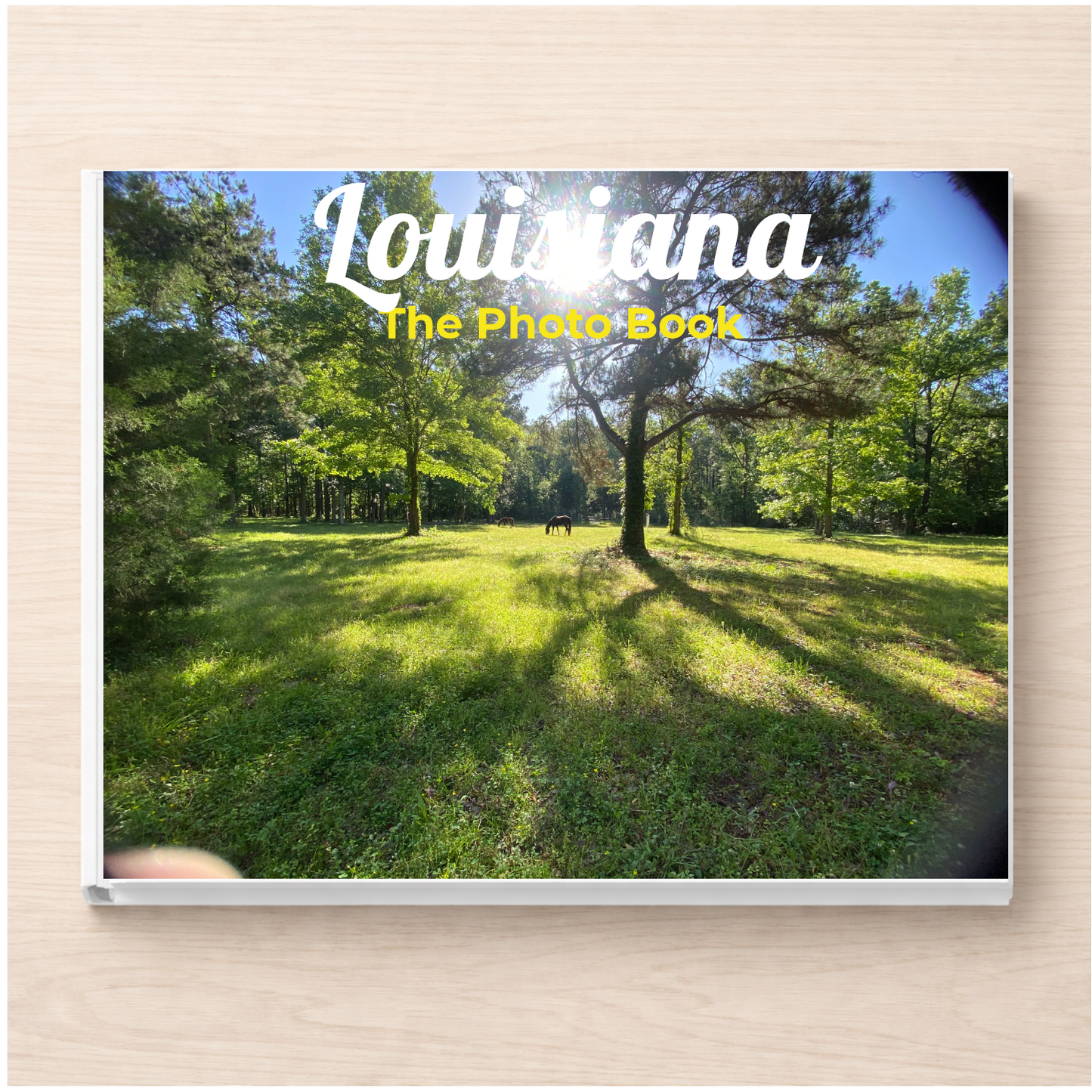 Louisiana: The Photo Book