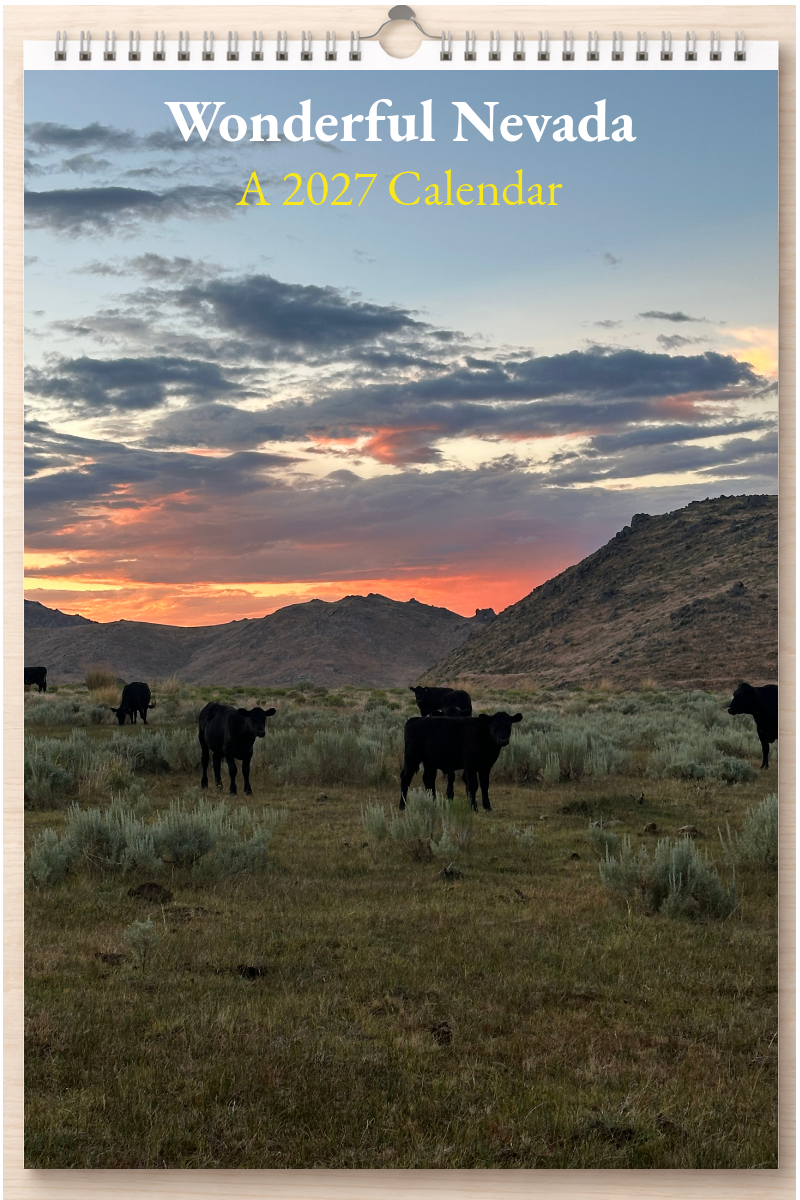 Wonderful Nevada: A 2027 Calendar
