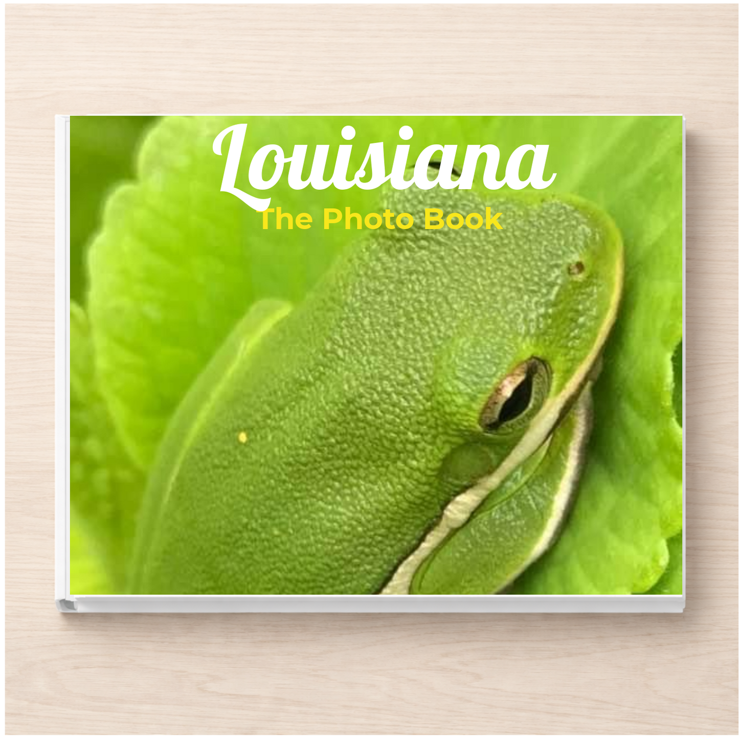 Louisiana: The Photo Book