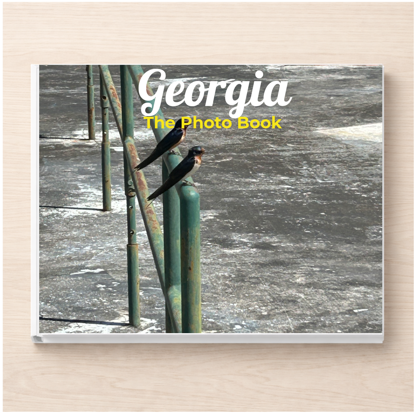 Georgia: The Photo Book