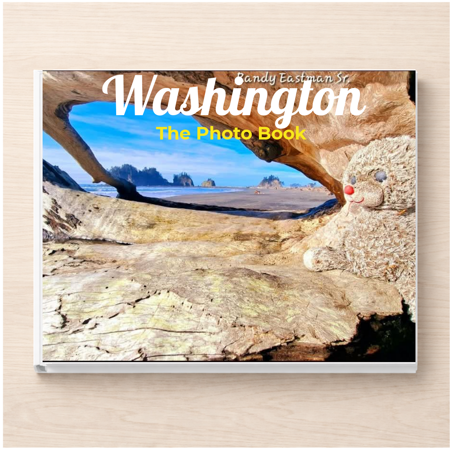 Washington: The Photo Book