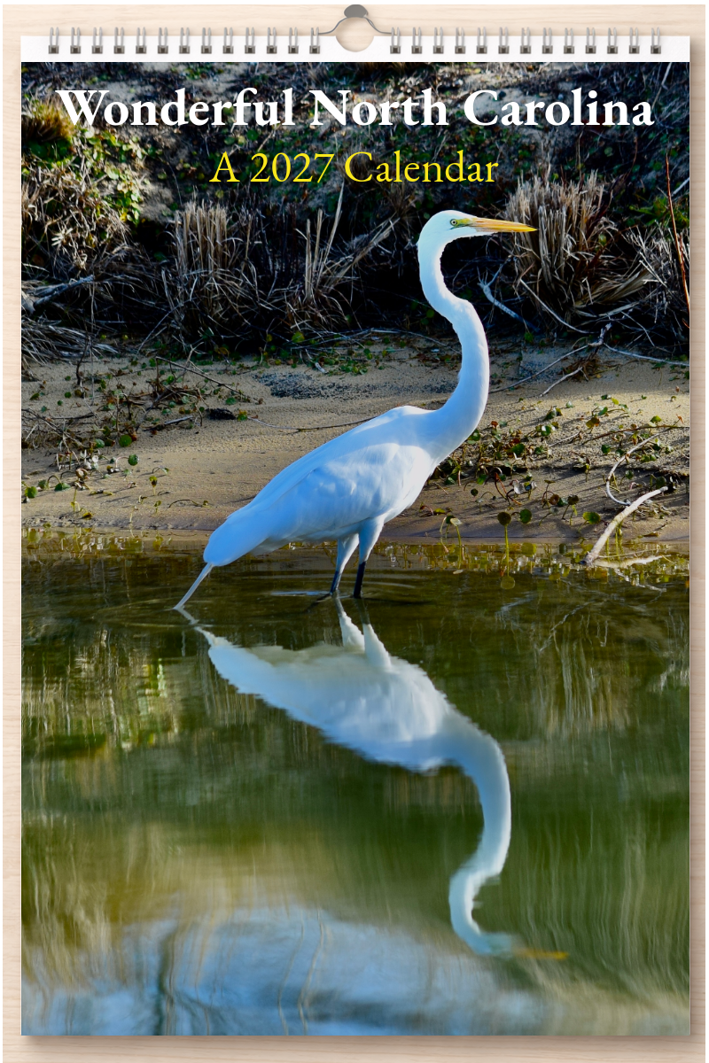 Wonderful North Carolina: A 2027 Calendar