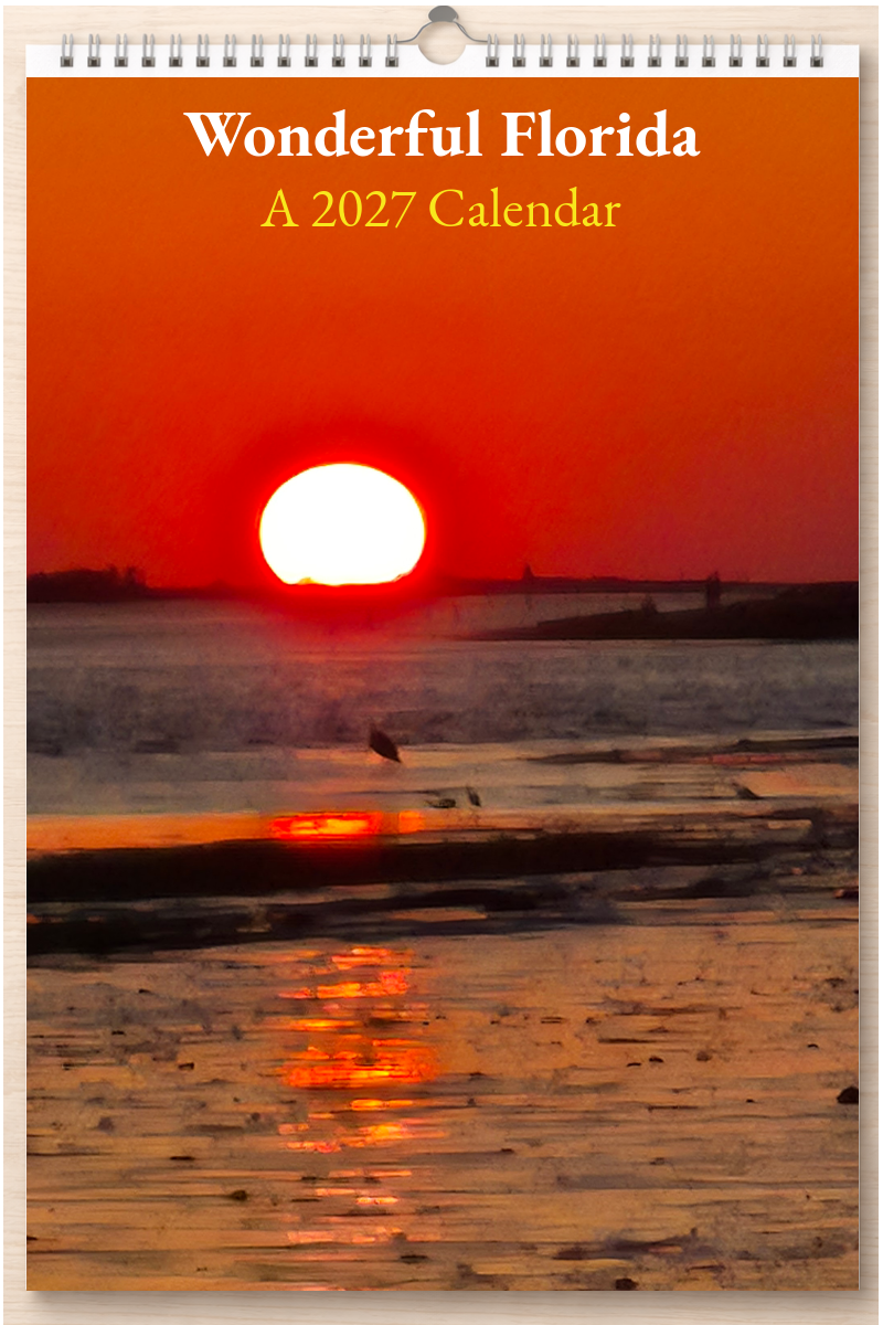 Wonderful Florida: A 2027 Calendar