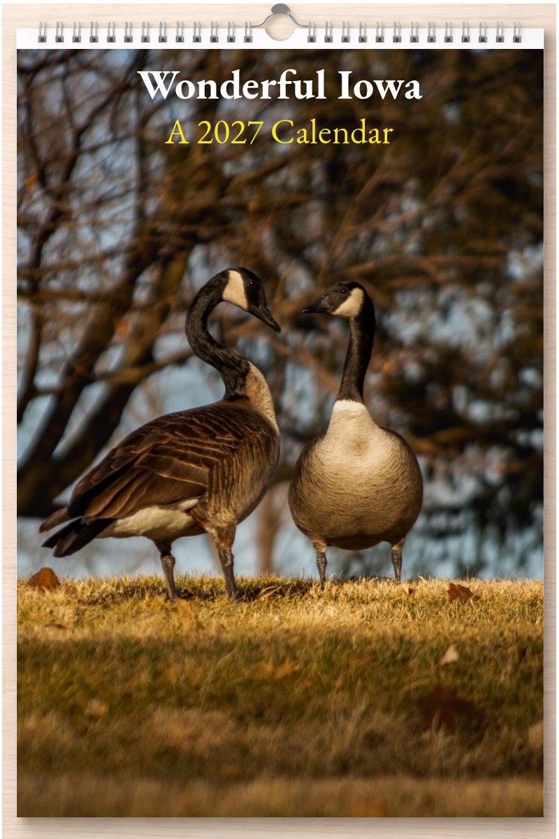 Wonderful Iowa: A 2027 Calendar