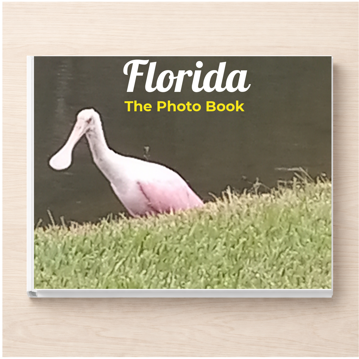 Florida: The Photo Book