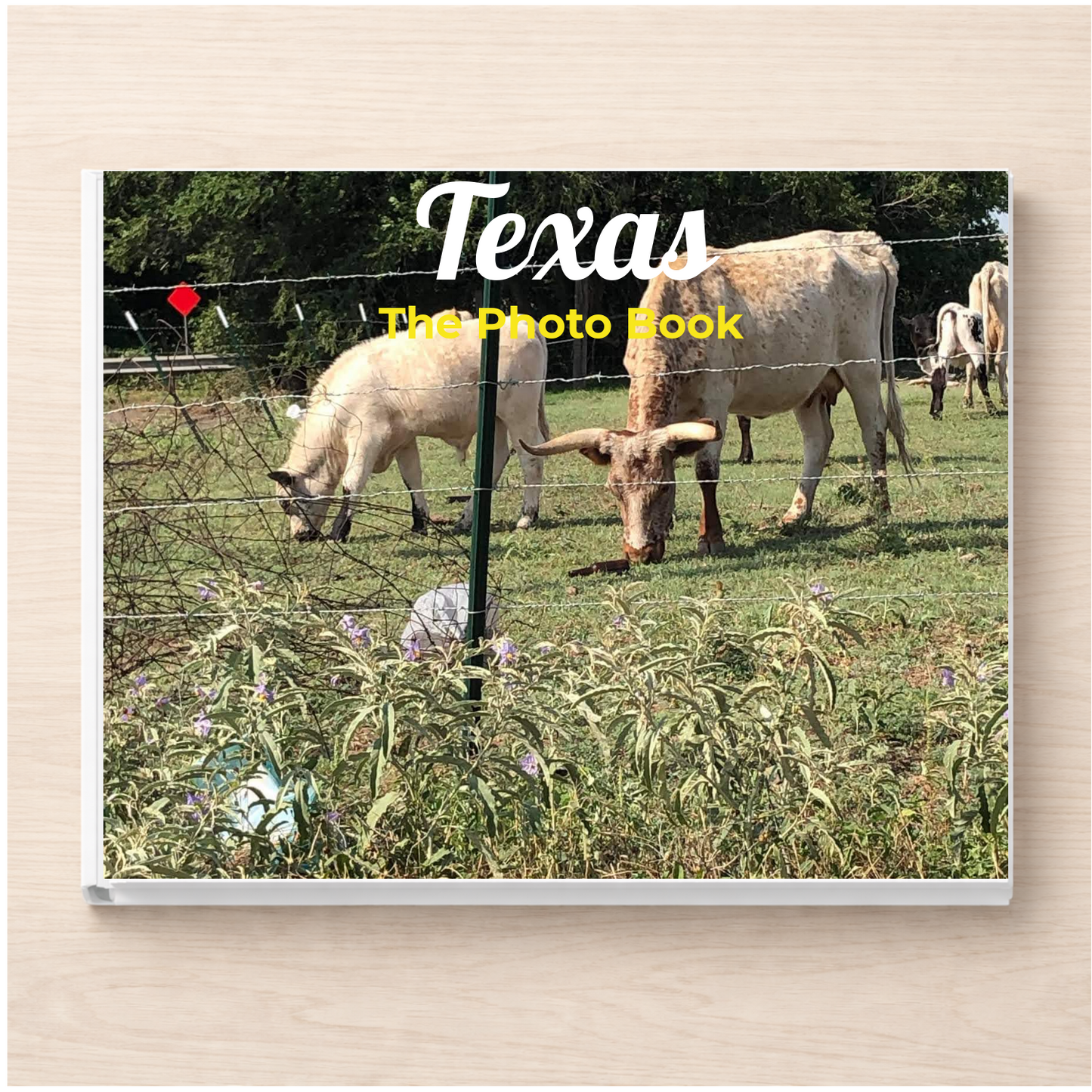 Texas: The Photo Book