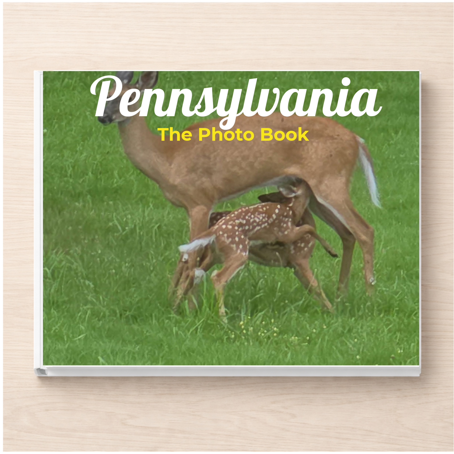 Pennsylvania: The Photo Book