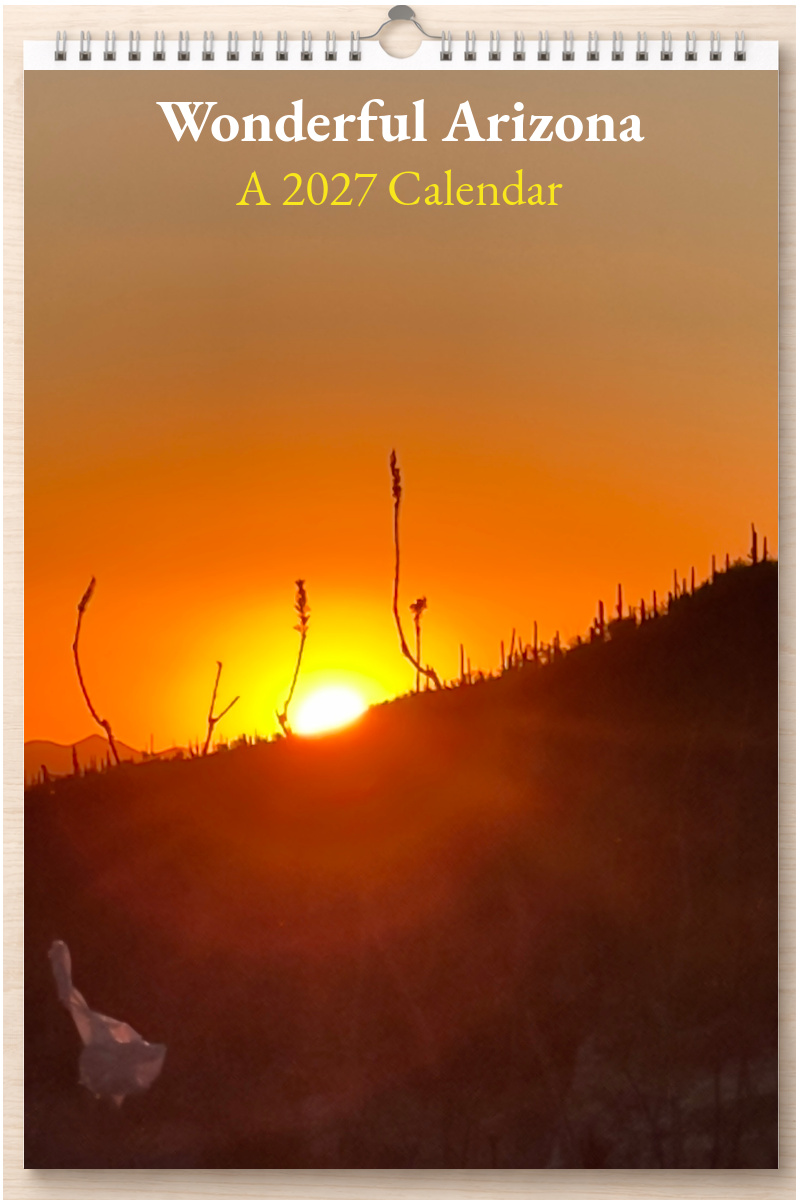 Wonderful Arizona: A 2027 Calendar