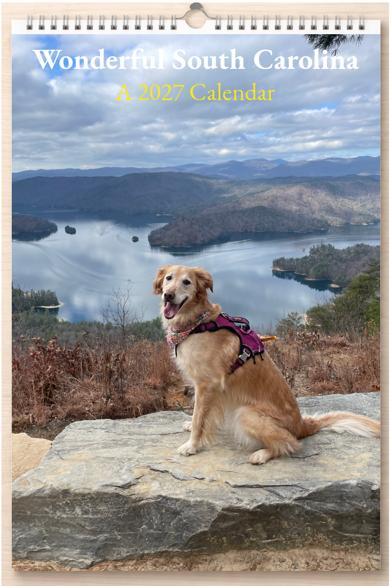 Wonderful South Carolina: A 2027 Calendar