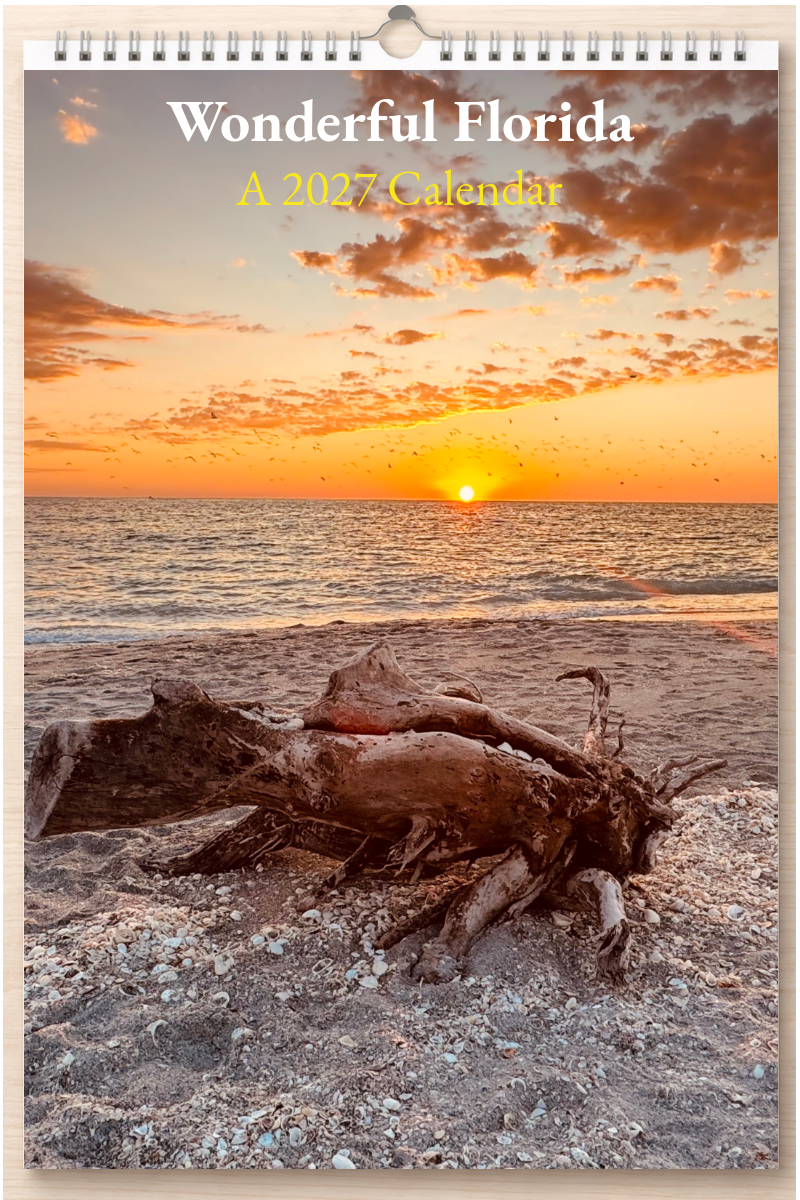 Wonderful Florida: A 2027 Calendar