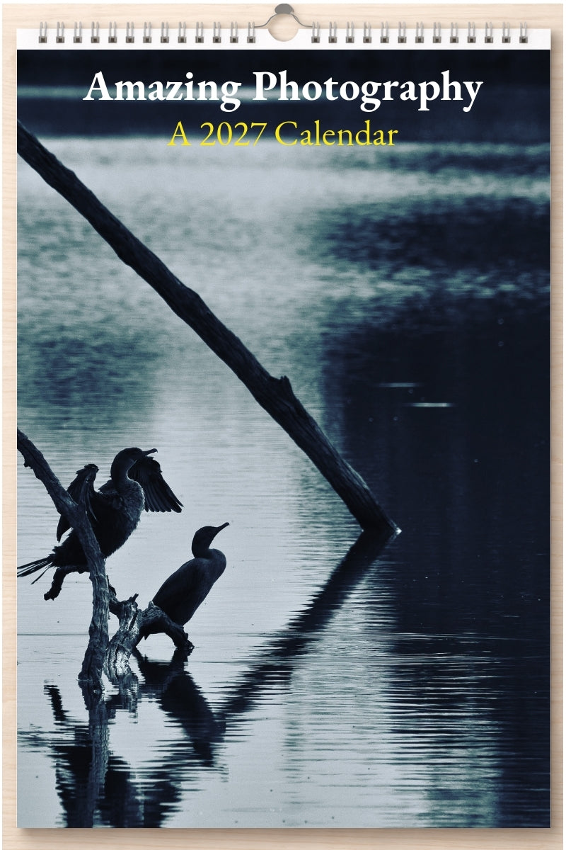 Amazing Photography: A 2027 Calendar