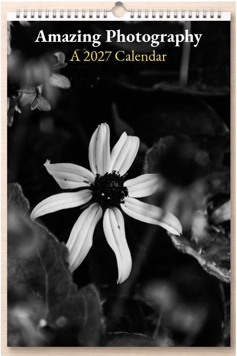Amazing Photography: A 2027 Calendar