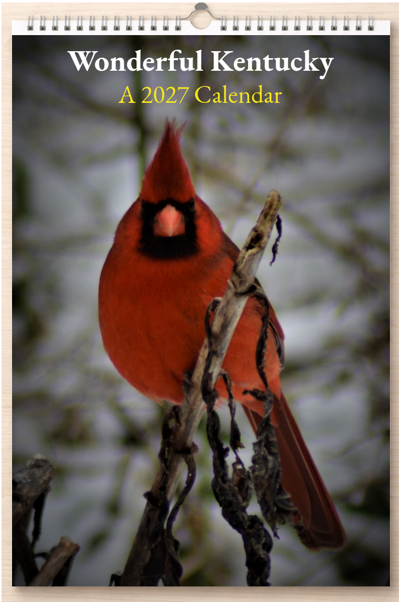 Wonderful Kentucky: A 2027 Calendar