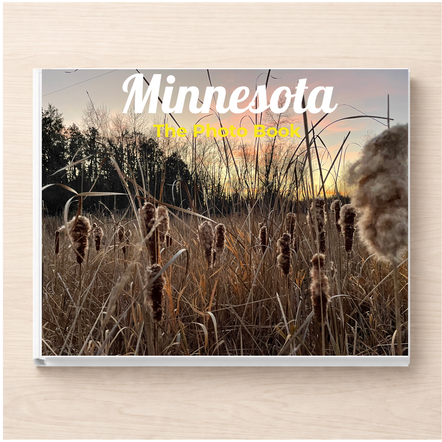 Minnesota: The Photo Book