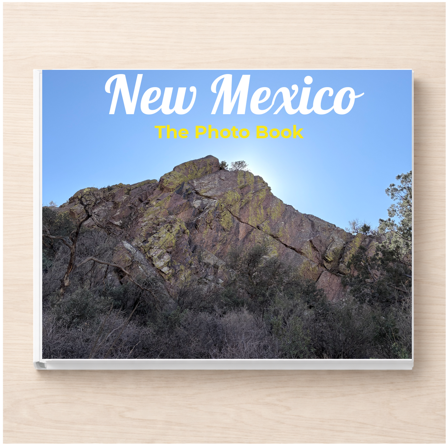 New Mexico: The Photo Book
