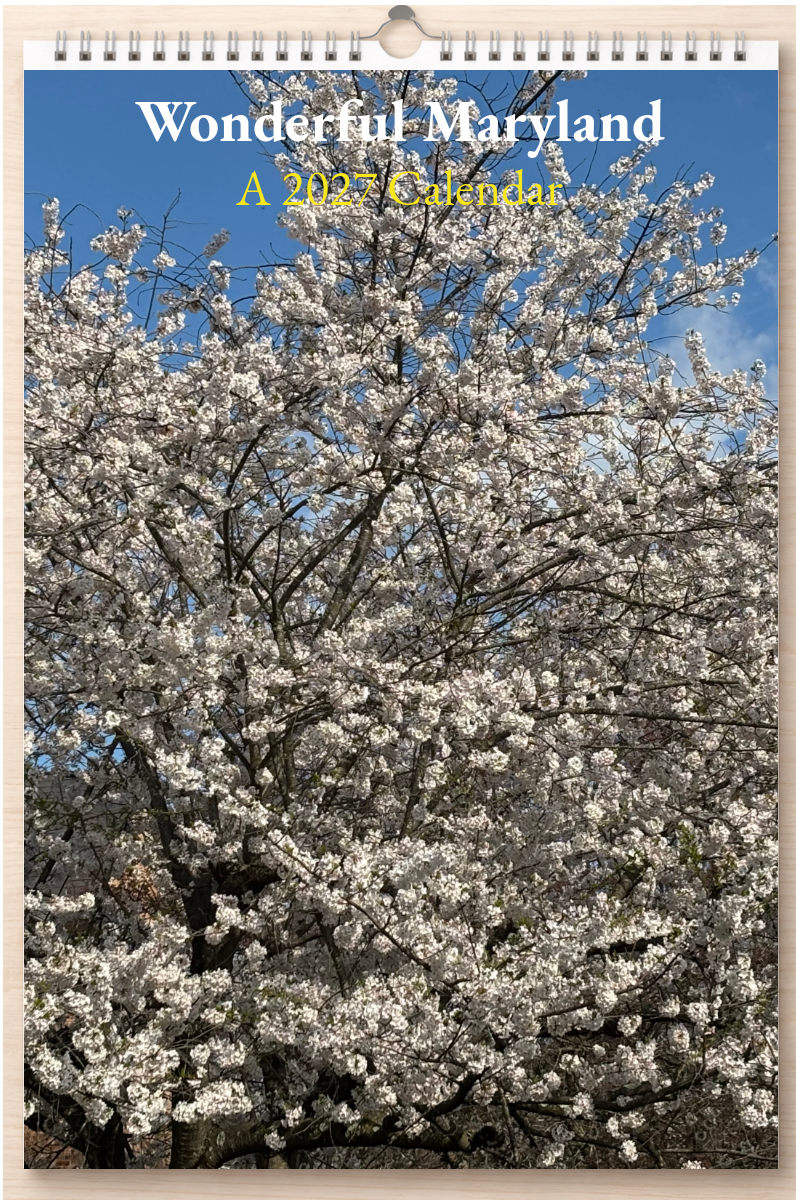 Wonderful Maryland: A 2027 Calendar