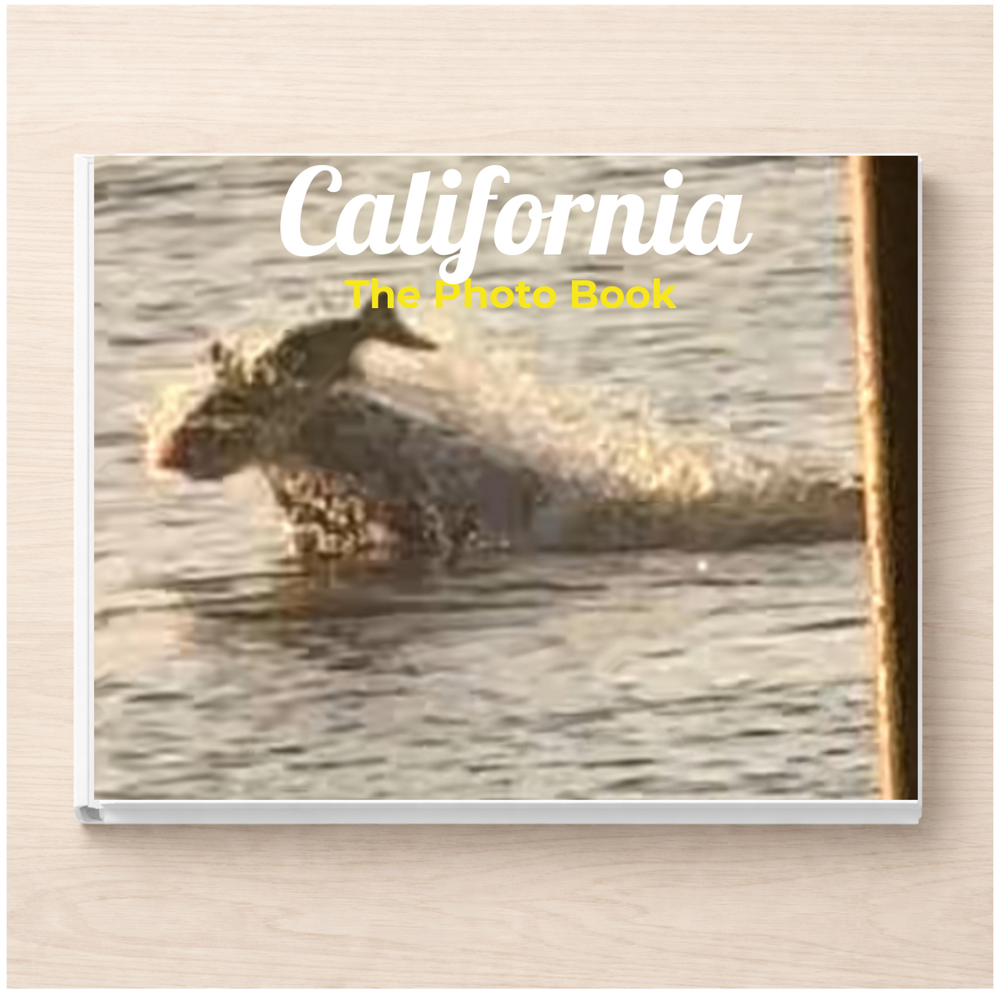 California: The Photo Book