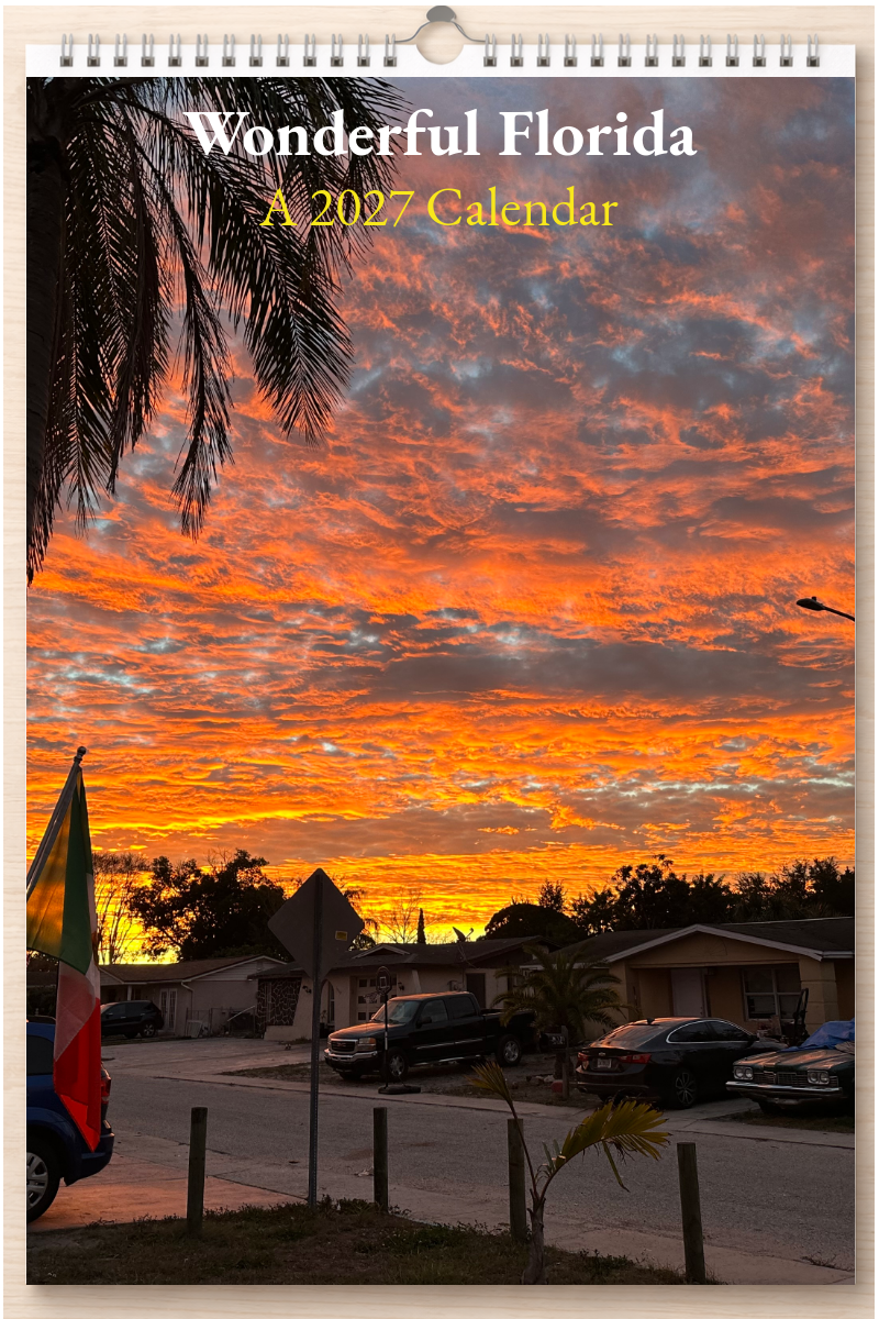 Wonderful Florida: A 2027 Calendar