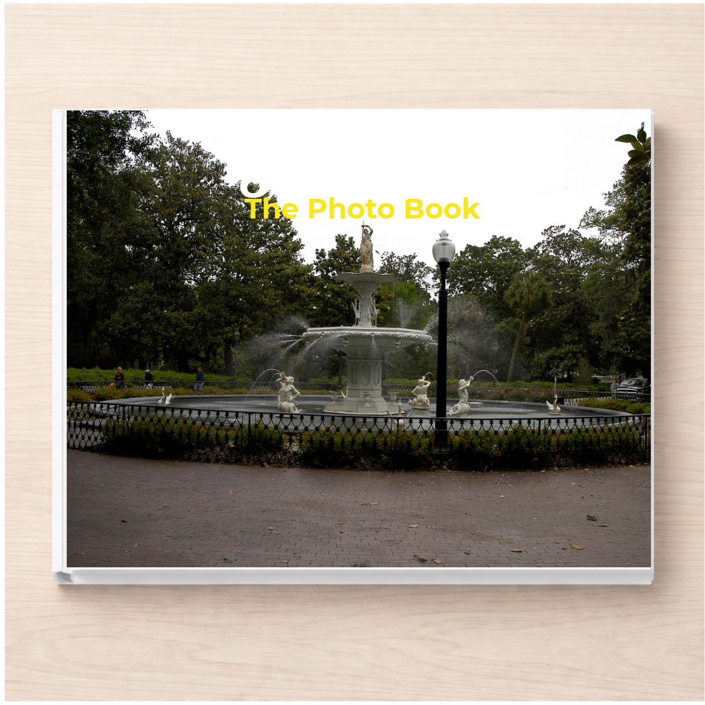 Georgia: The Photo Book