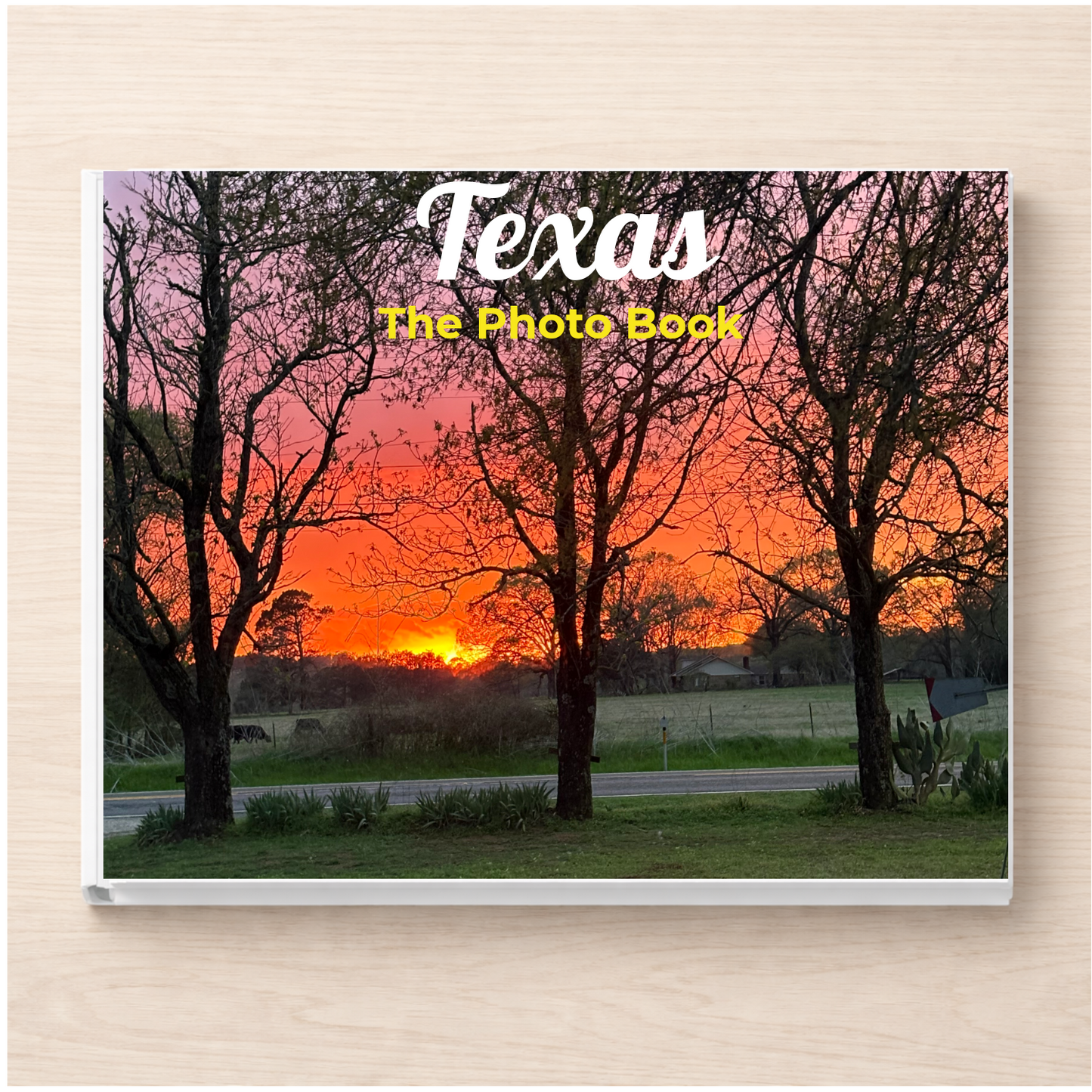 Texas: The Photo Book