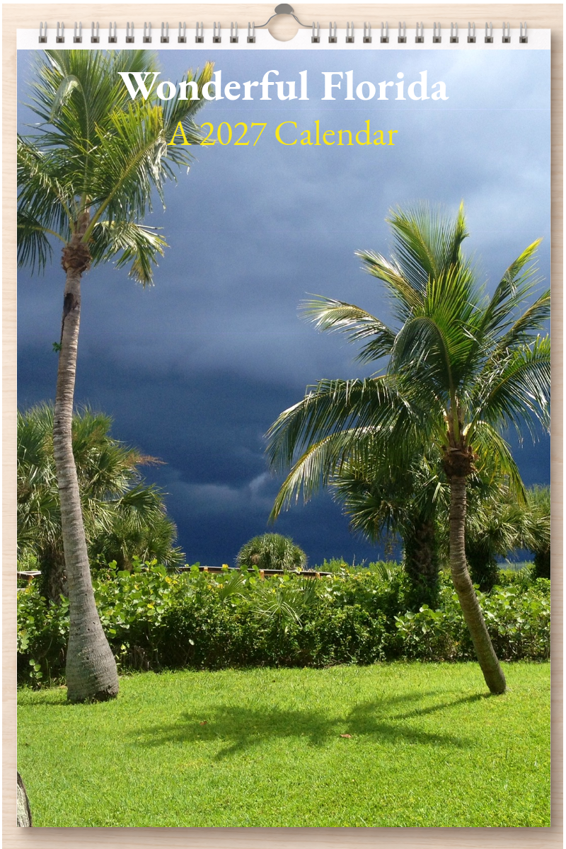 Wonderful Florida: A 2027 Calendar