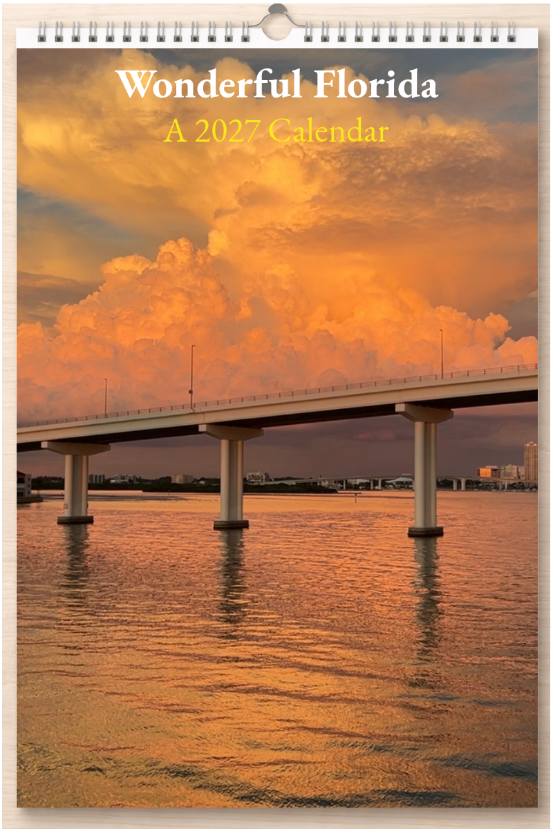 Wonderful Florida: A 2027 Calendar