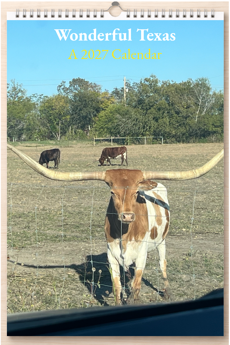 Wonderful Texas: A 2027 Calendar
