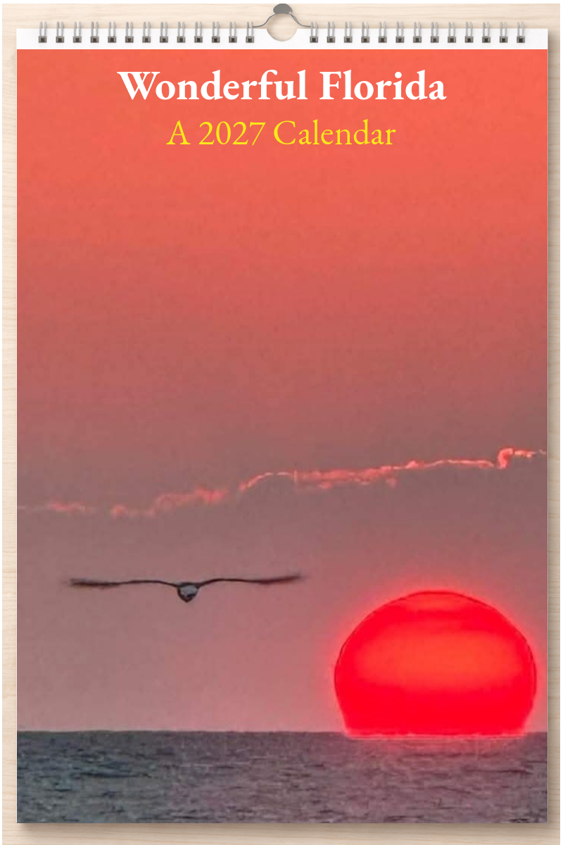 Wonderful Florida: A 2027 Calendar