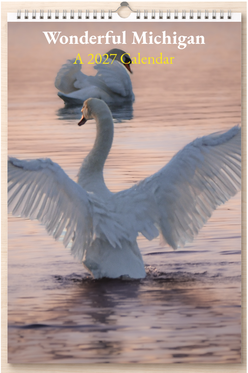 Wonderful Michigan: A 2027 Calendar