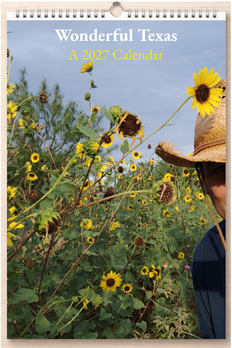 Wonderful Texas: A 2027 Calendar