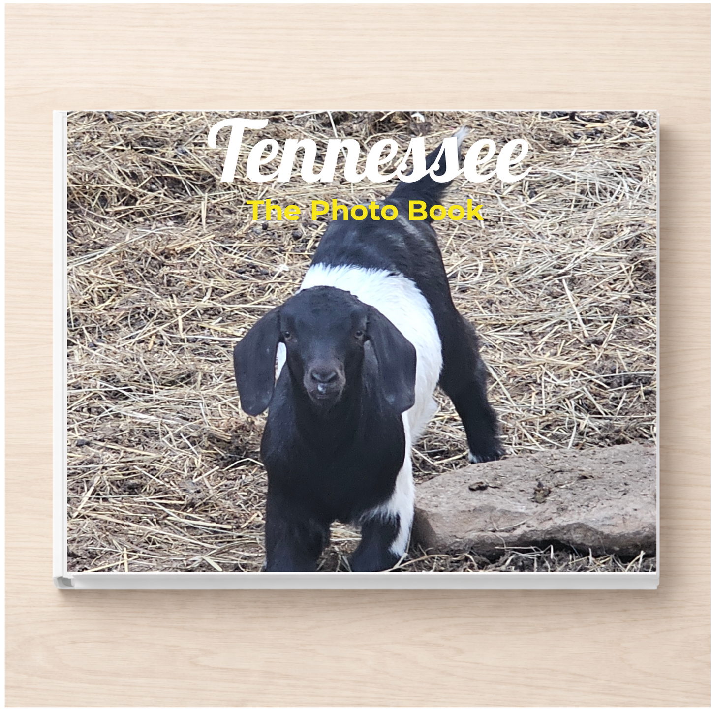 Tennessee: The Photo Book
