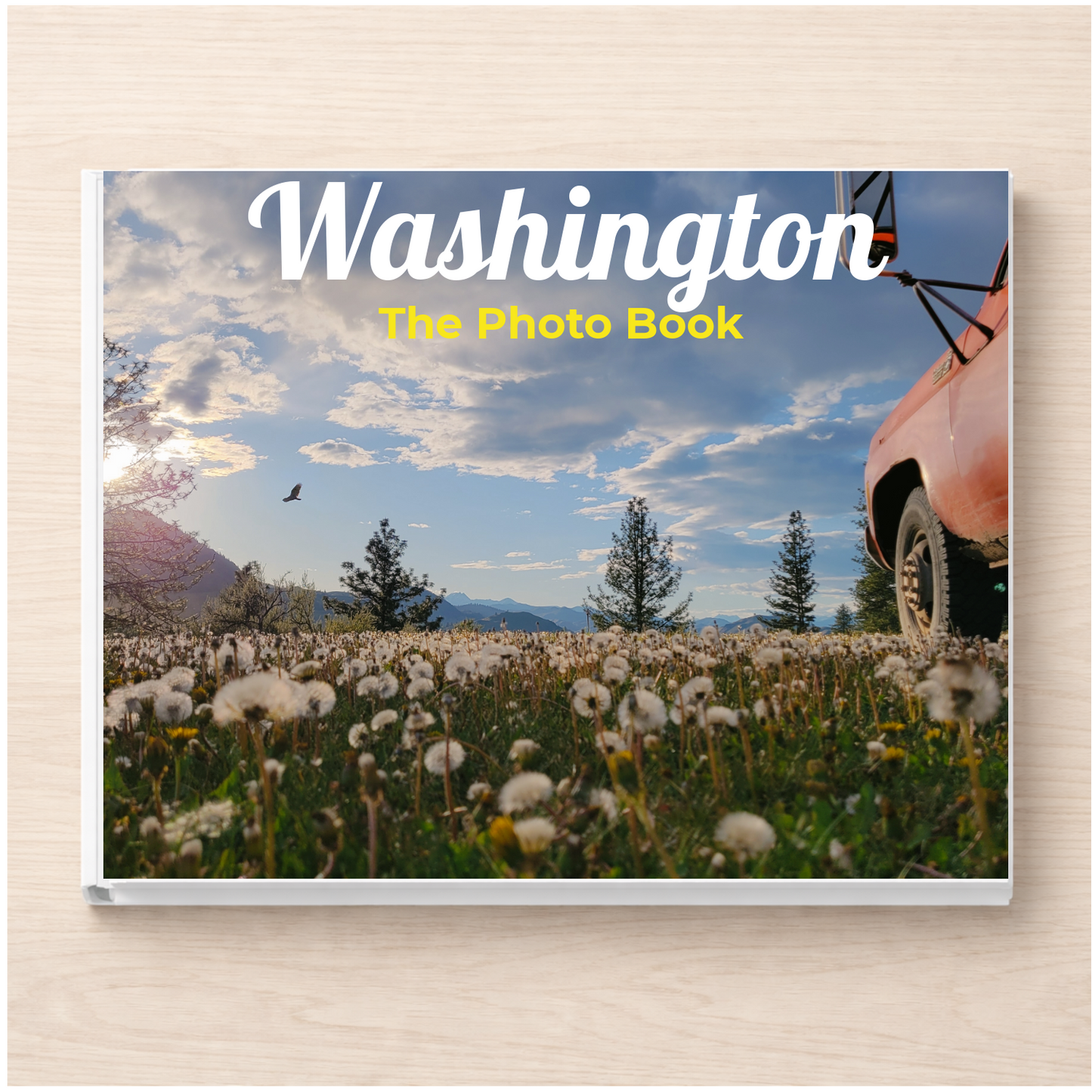 Washington: The Photo Book