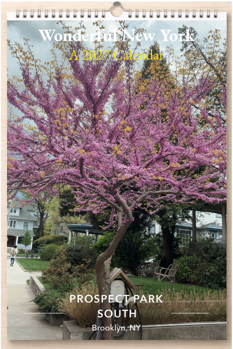 Wonderful New York: A 2027 Calendar