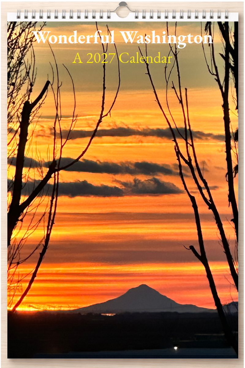 Wonderful Washington: A 2027 Calendar