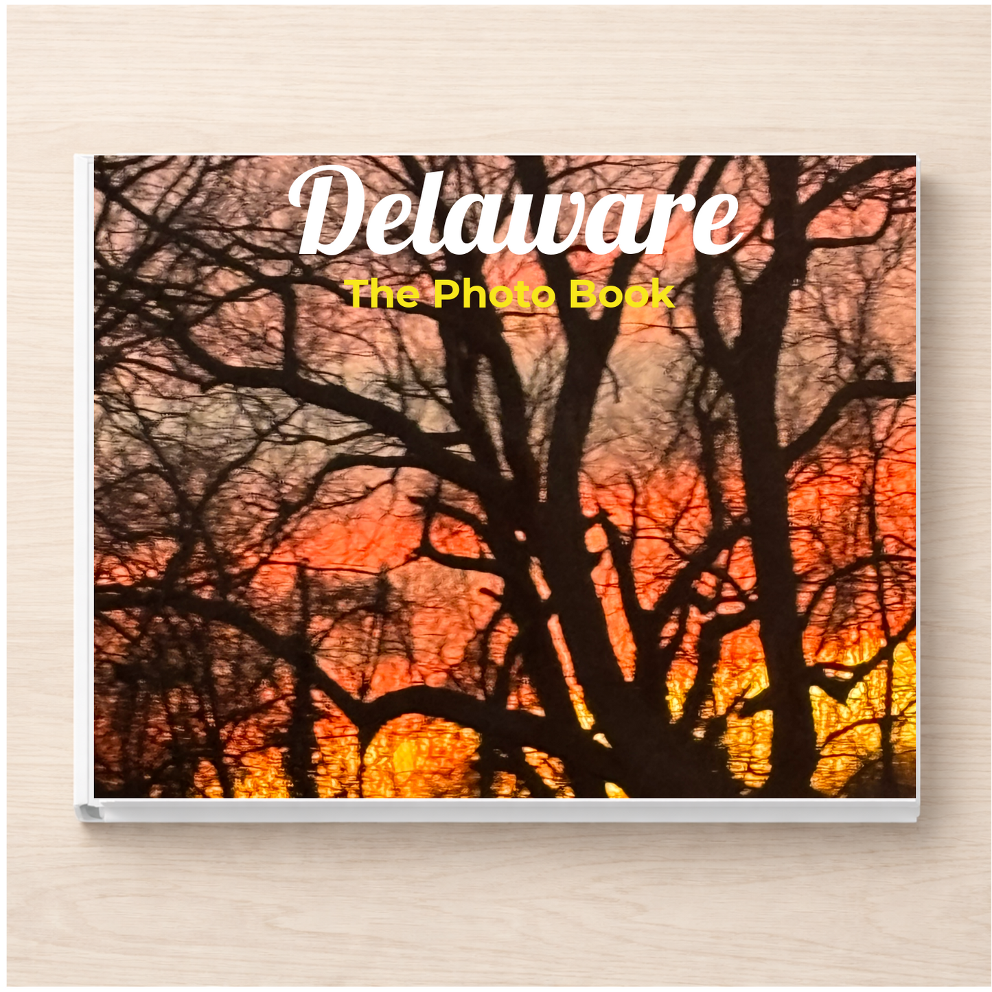 Delaware: The Photo Book