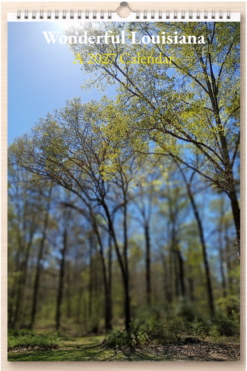 Wonderful Louisiana: A 2027 Calendar