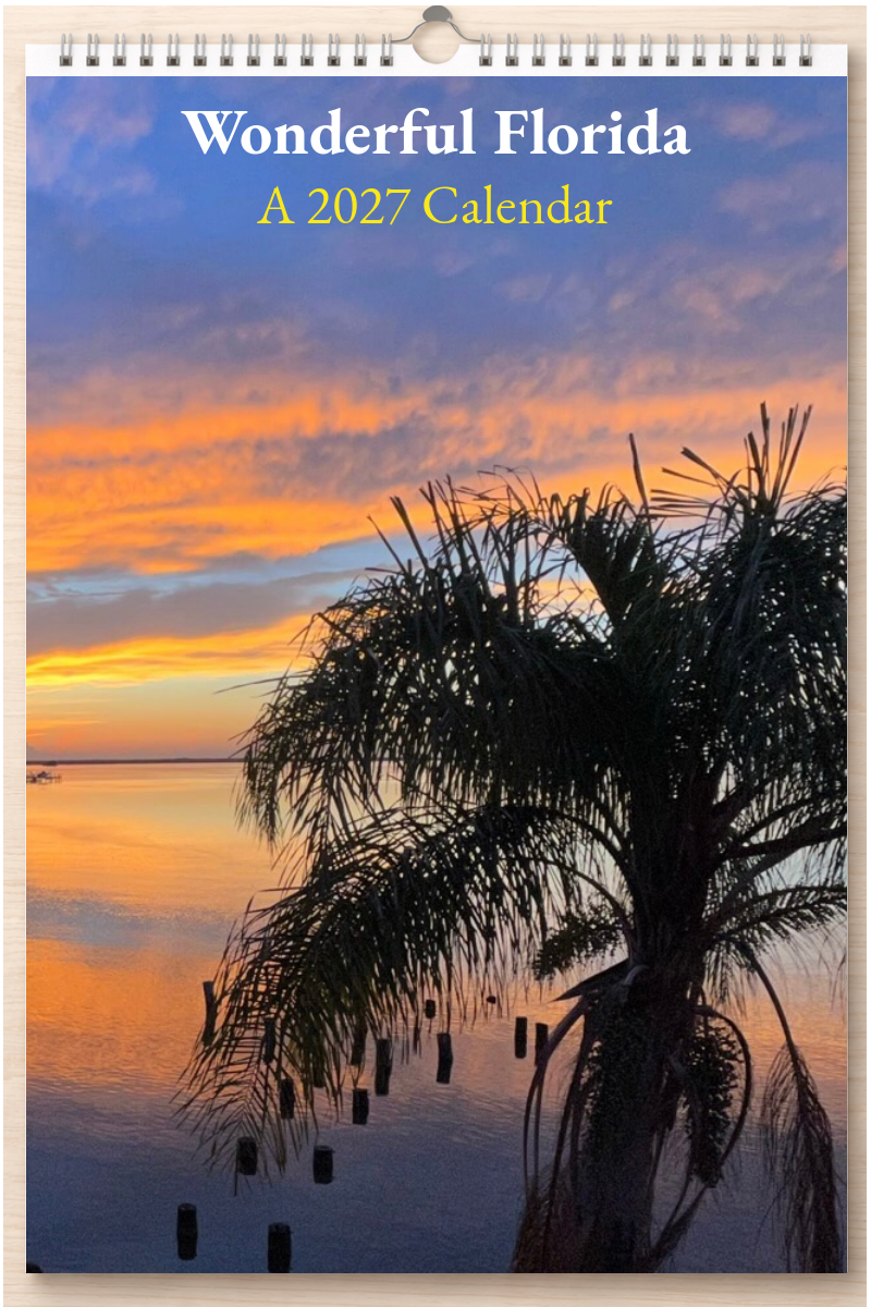 Wonderful Florida: A 2027 Calendar