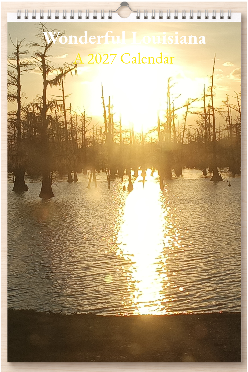 Wonderful Louisiana: A 2027 Calendar
