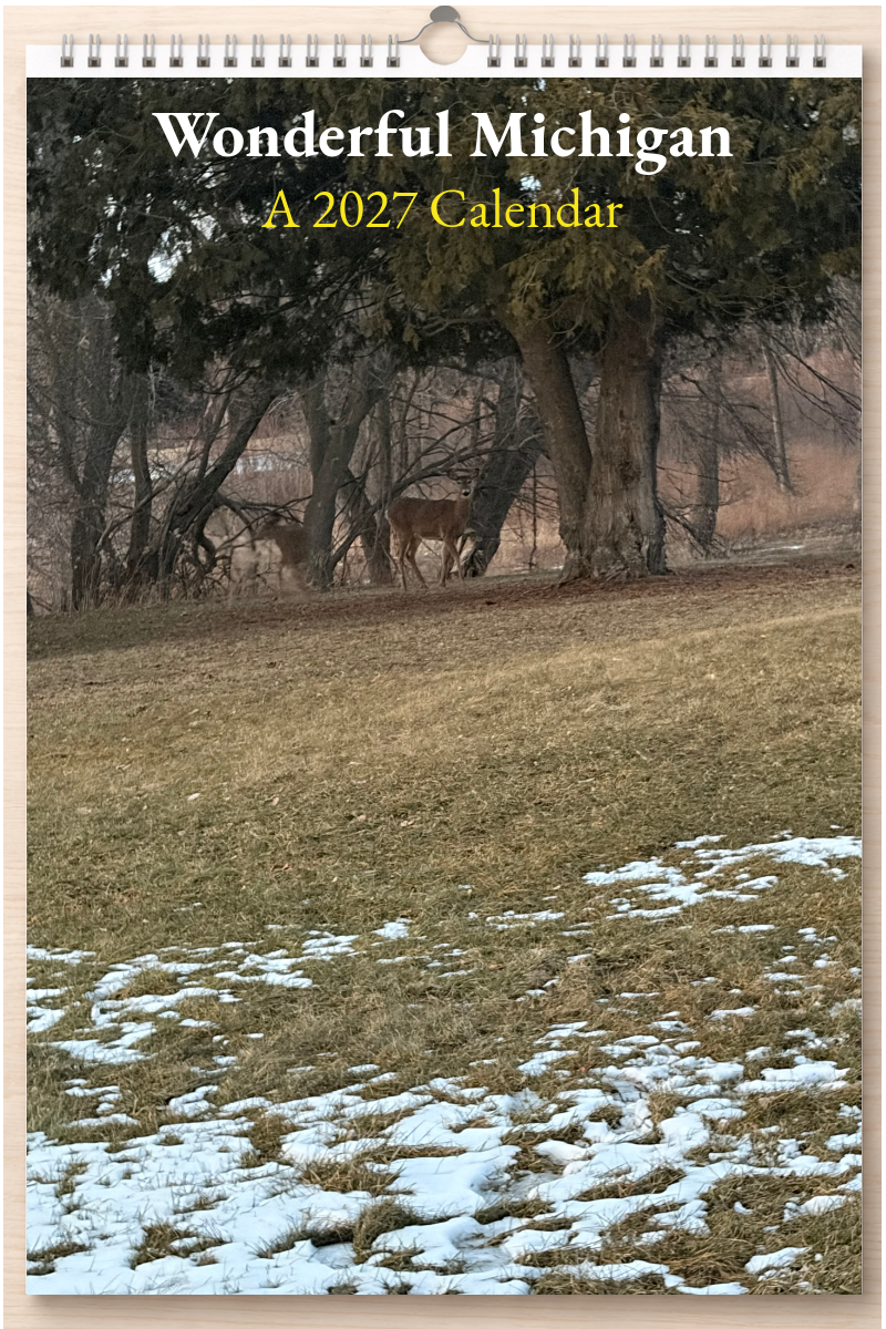 Wonderful Michigan: A 2027 Calendar