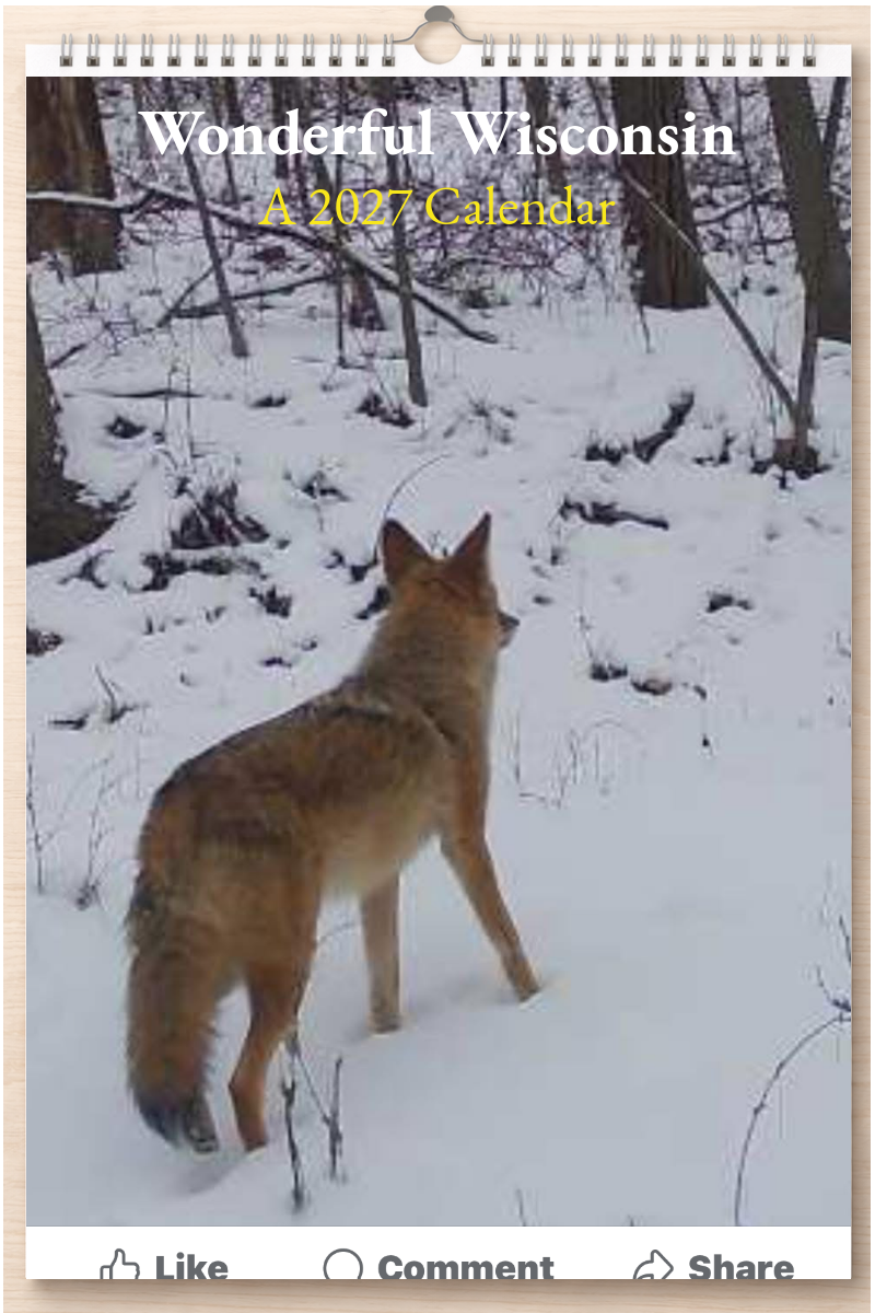Wonderful Wisconsin: A 2027 Calendar
