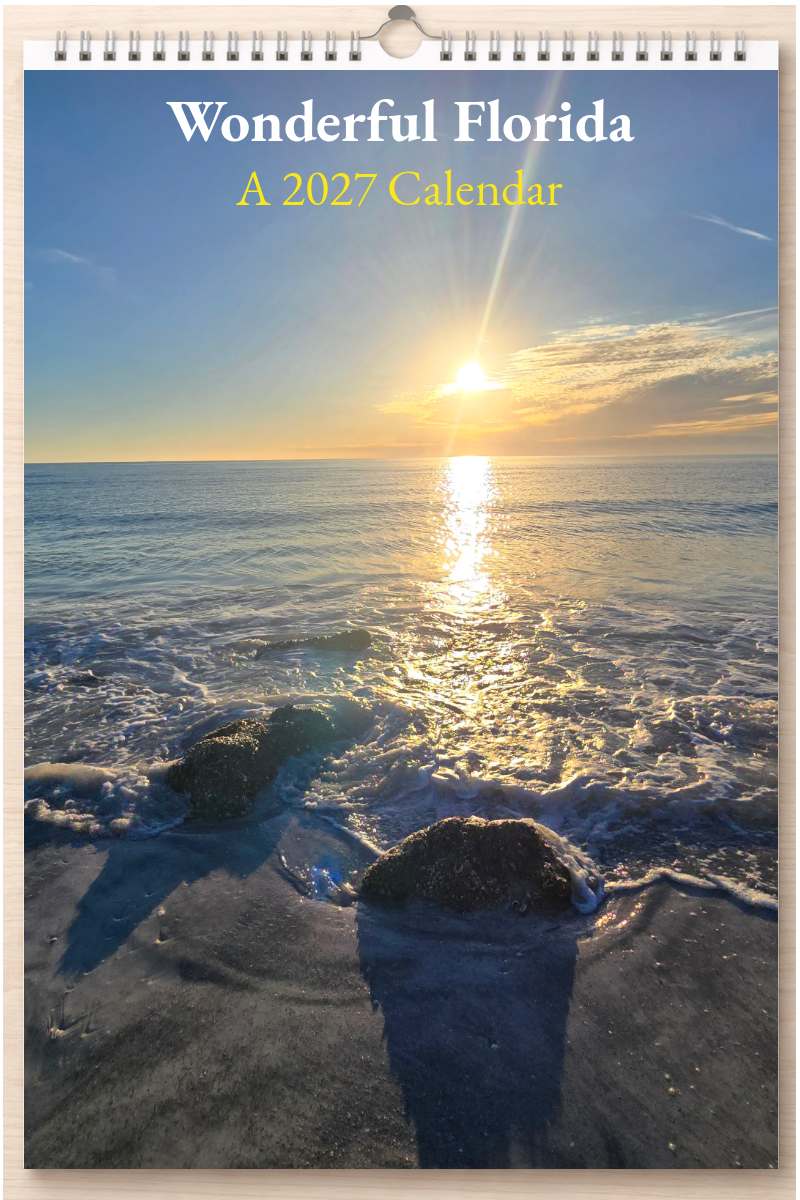 Wonderful Florida: A 2027 Calendar