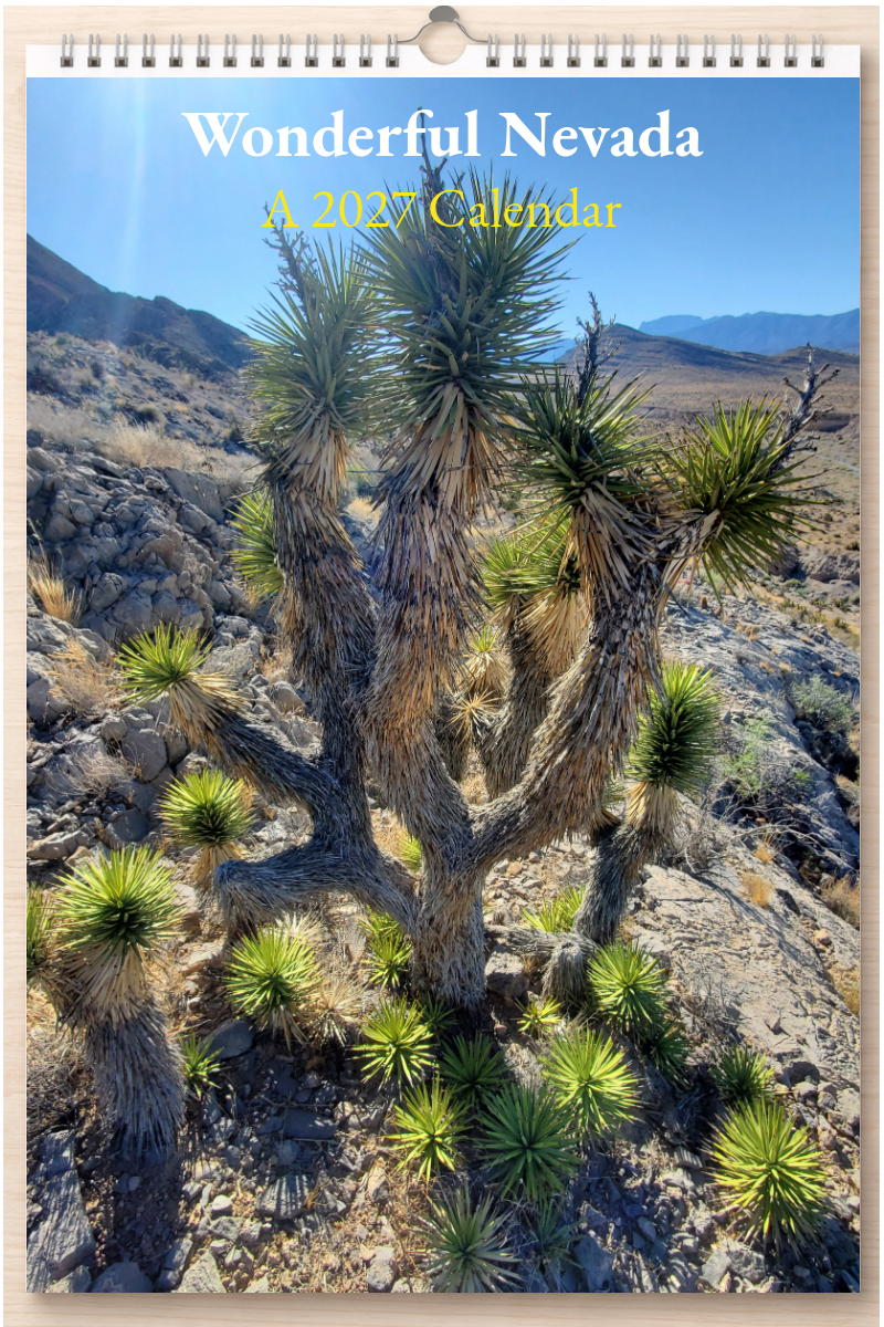 Wonderful Nevada: A 2027 Calendar