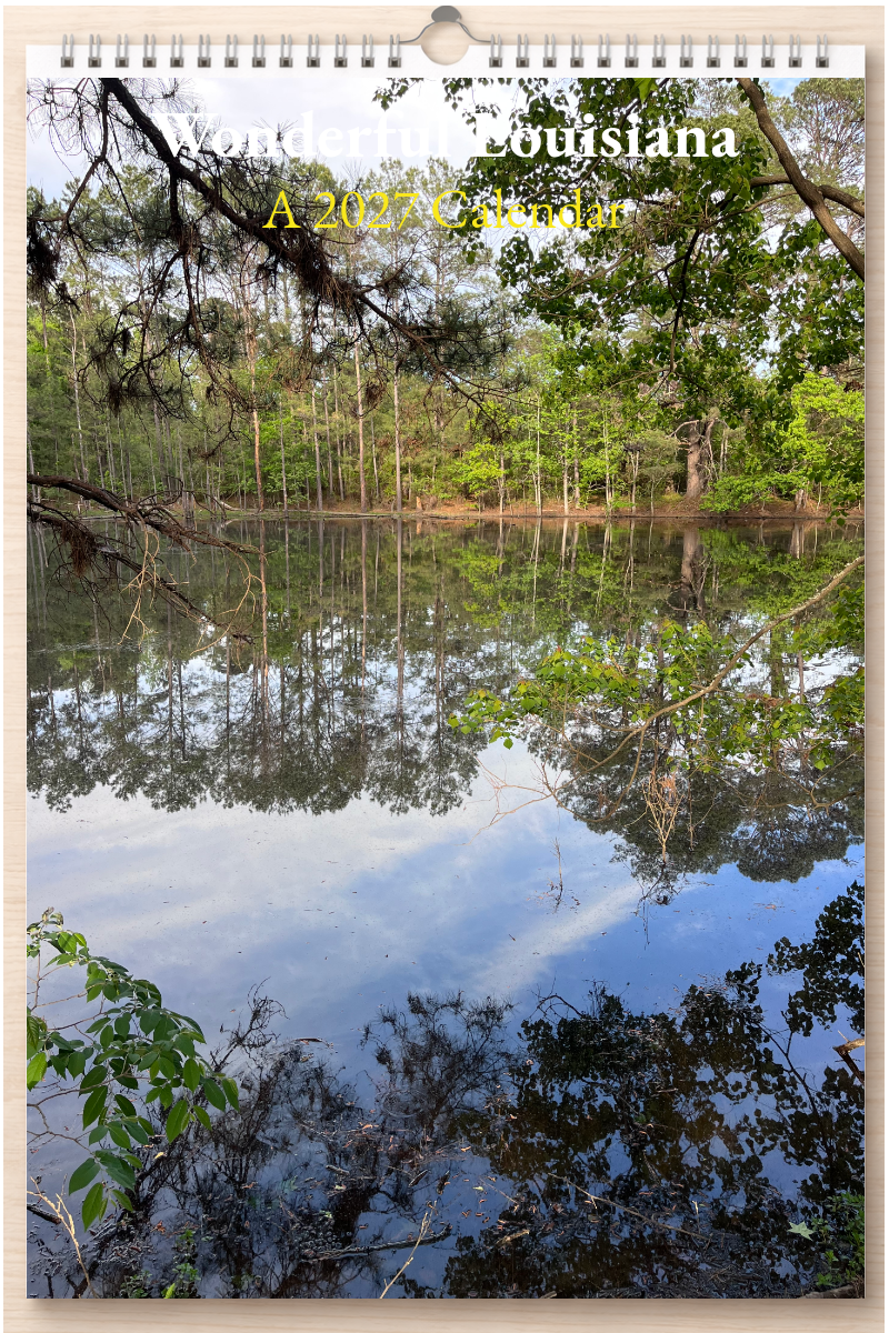 Wonderful Louisiana: A 2027 Calendar