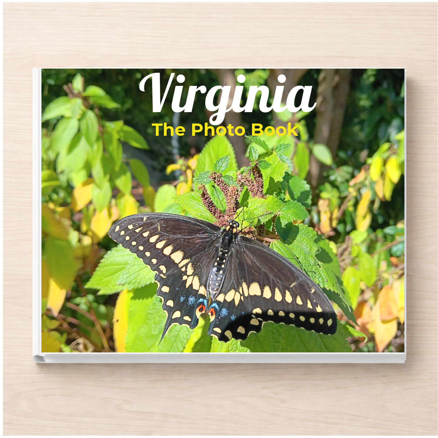 Virginia: The Photo Book